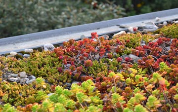 the cost of Tully green roof installation